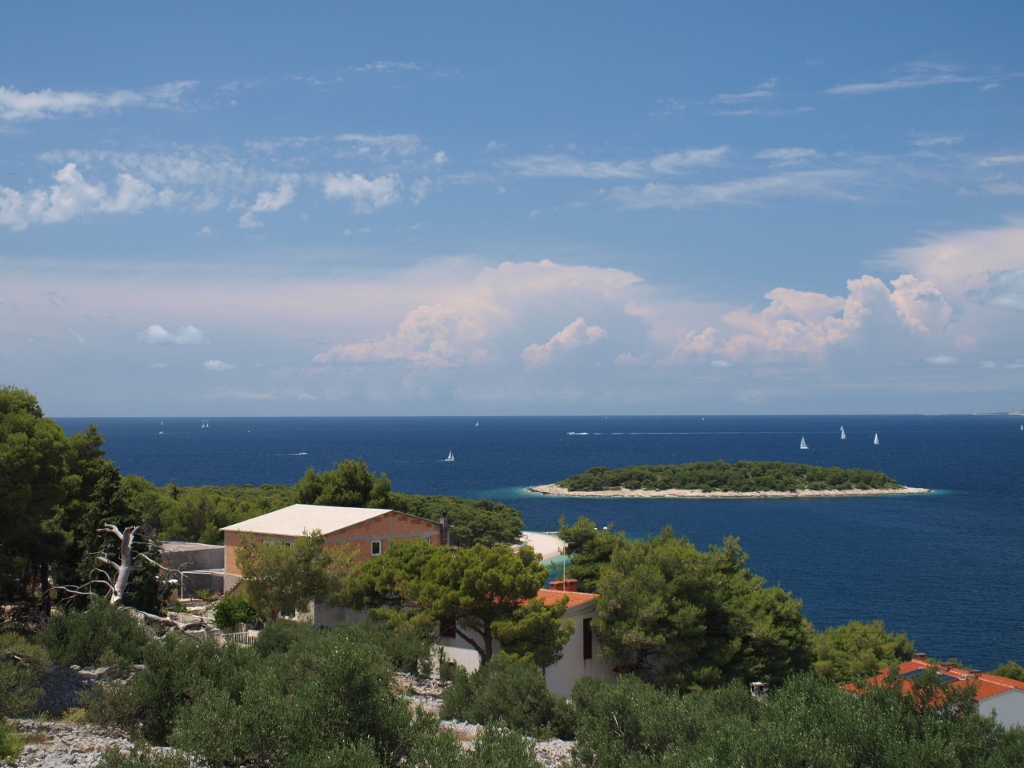 P6303317 (1024x768).jpg