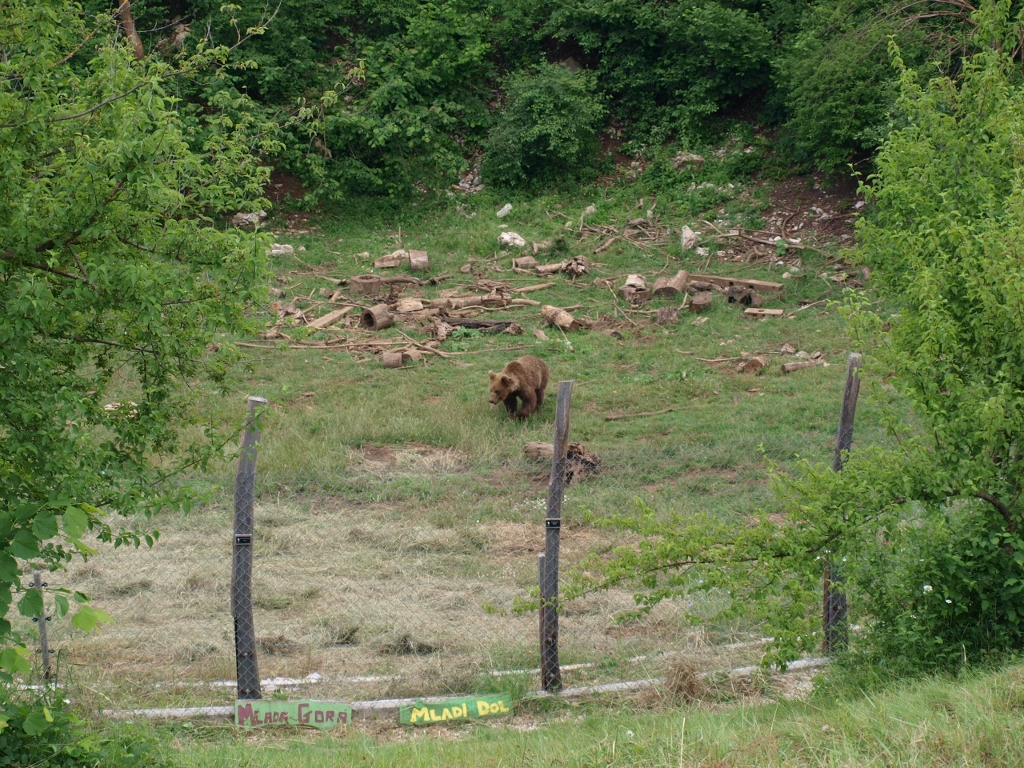 P6202297 (1024x768).jpg