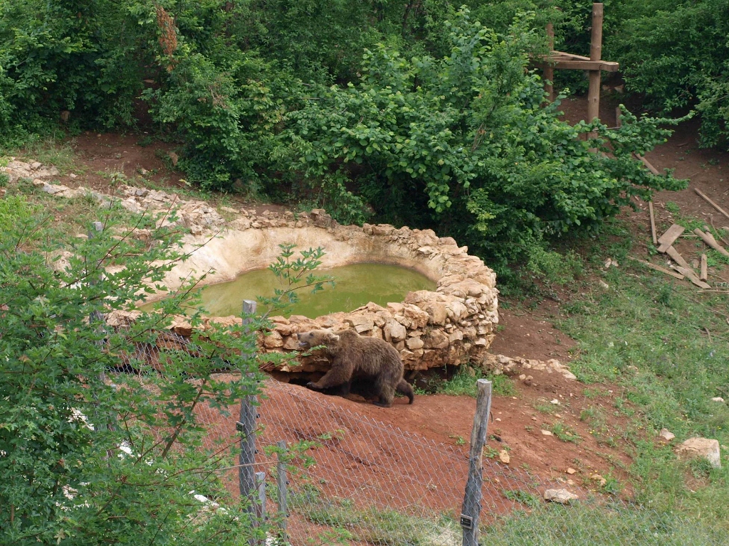 P6202299 (1024x768).jpg