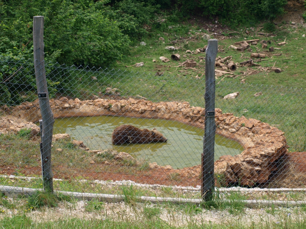 P6202301 (1024x768).jpg