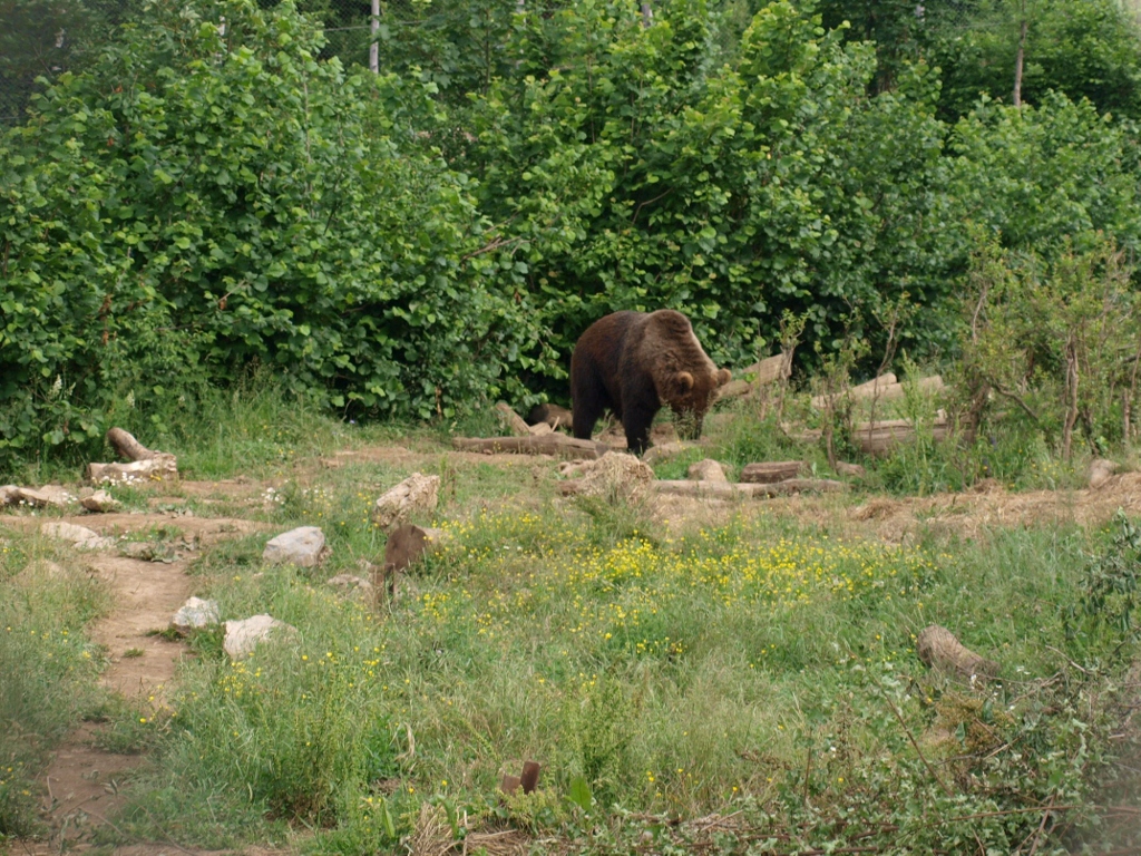 P6202322 (1024x768).jpg