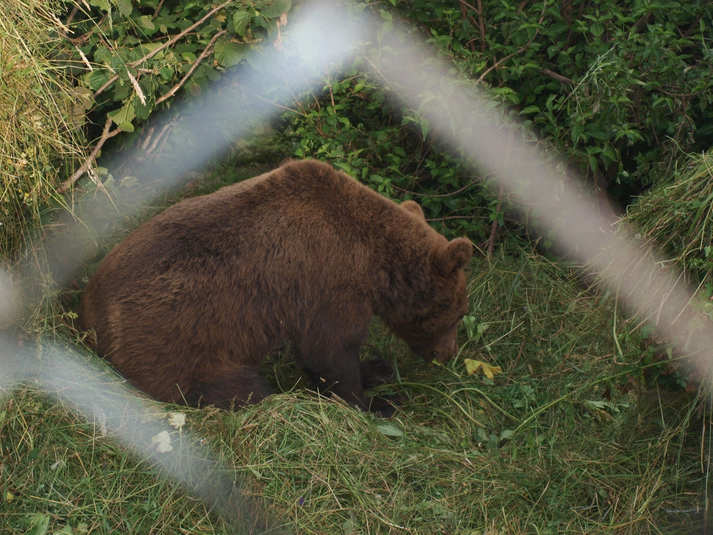 P6202330 (1024x768).jpg