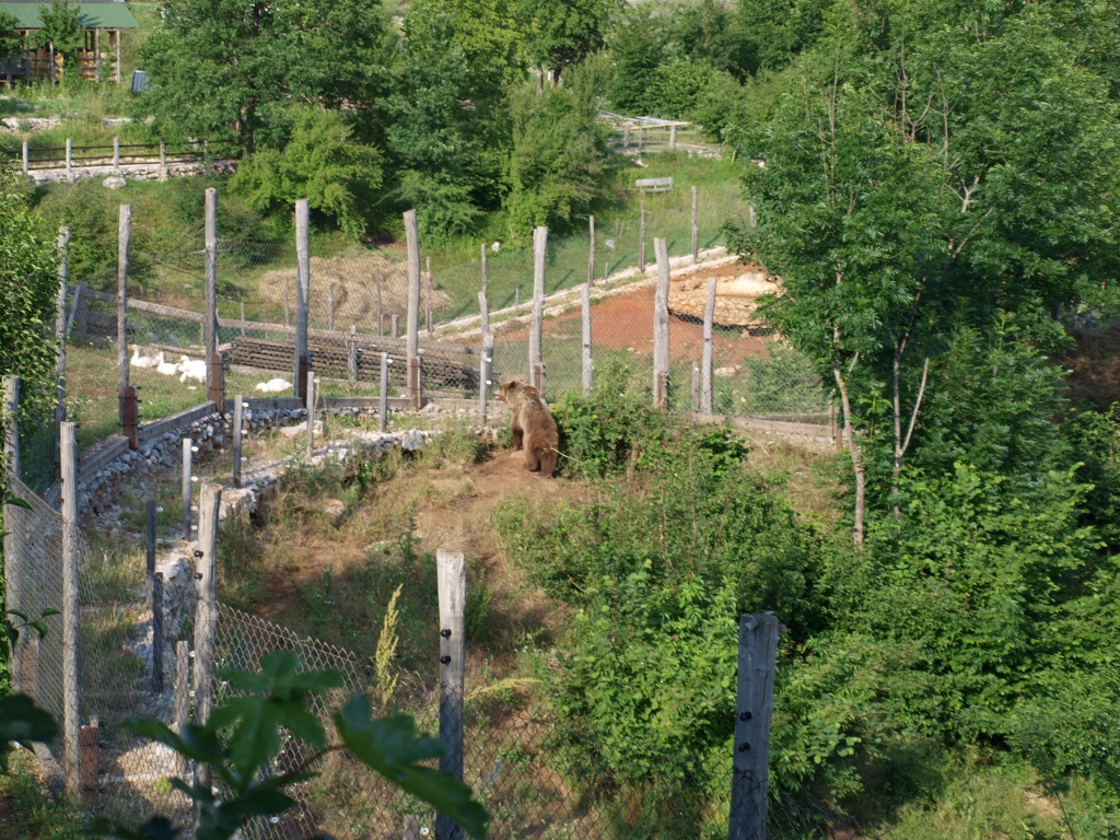 P6202341 (1024x768).jpg