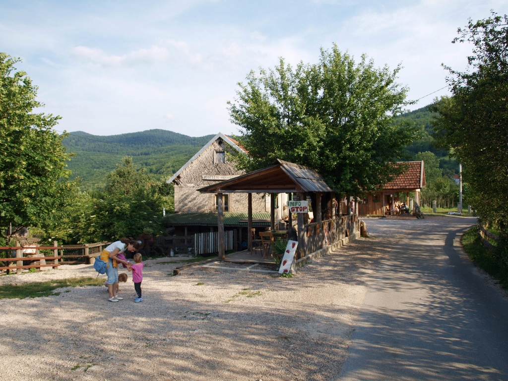 P6202344 (1024x768).jpg