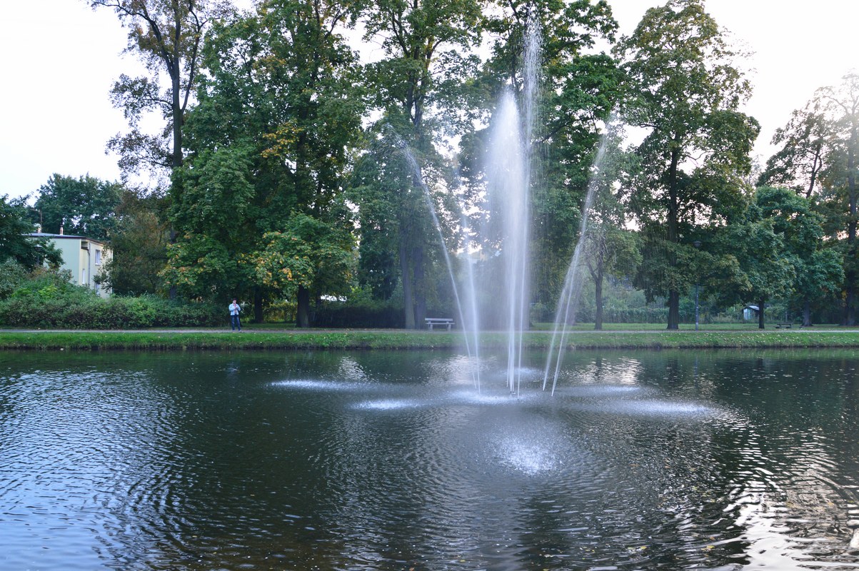 DSC_0033 (Kopiowanie).JPG