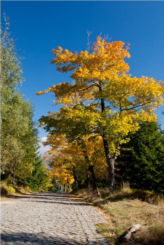 Strzecha Akademicka IMGP1622.jpg