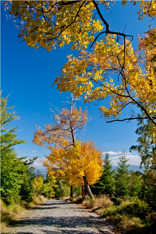 Strzecha Akademicka IMGP1628.jpg