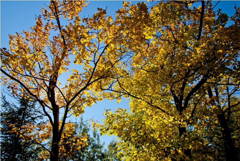 Strzecha Akademicka IMGP1629.jpg