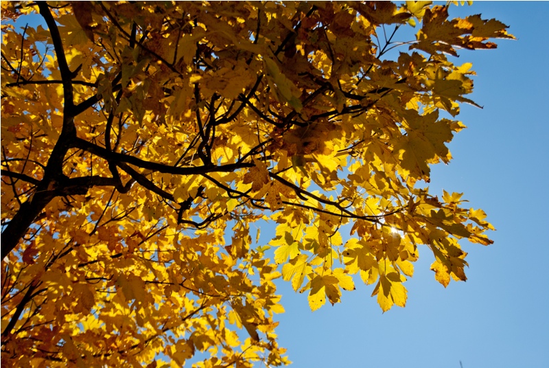 Strzecha Akademicka IMGP1630.jpg