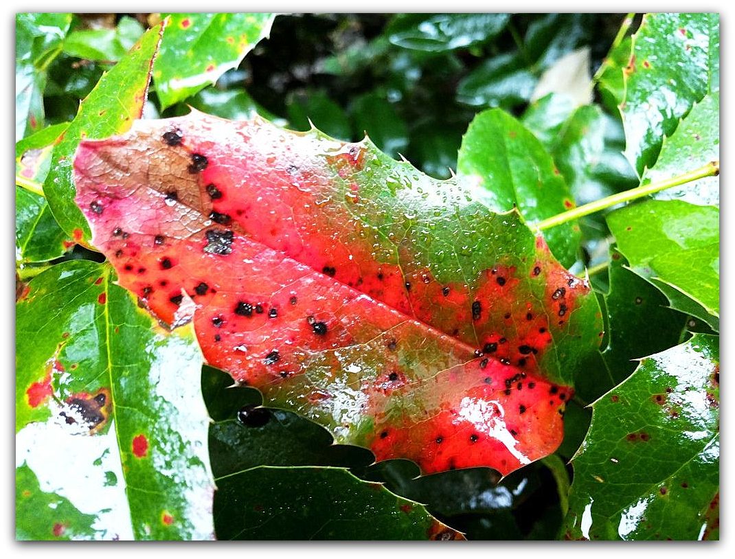 20140920_110759.jpg