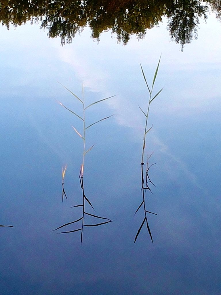 20140921_170750.jpg