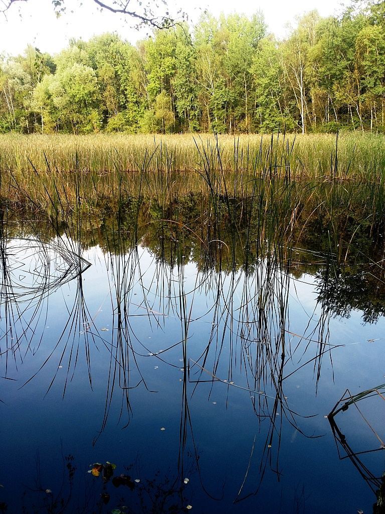 20140921_170948.jpg