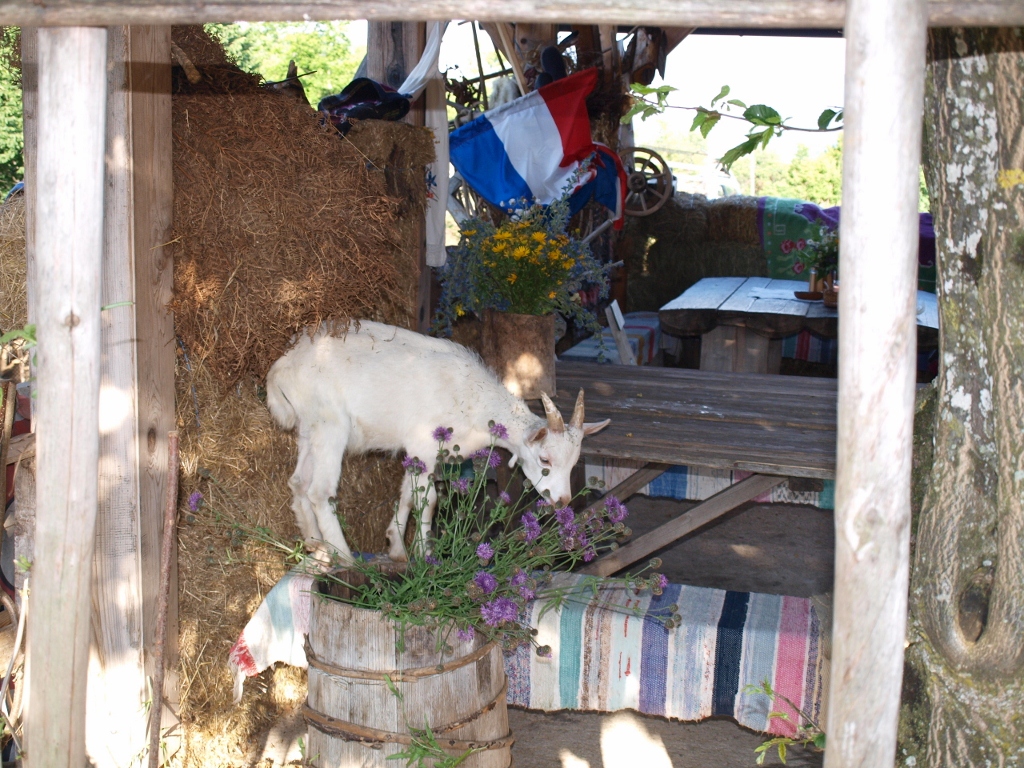 P6202366 (1024x768).jpg