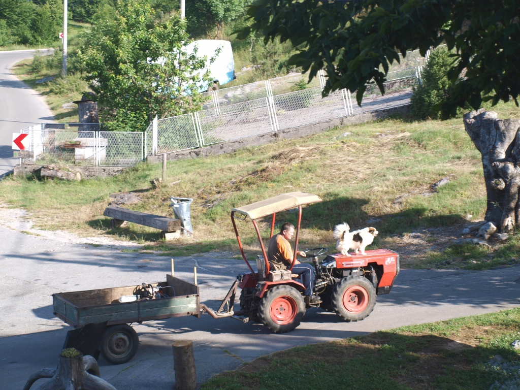 P6212396 (1024x768).jpg