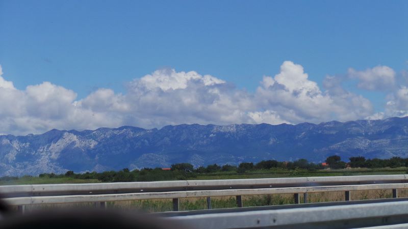 20140731_115025 (800x450).jpg