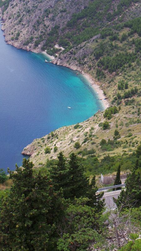 20140731_132913 (450x800).jpg