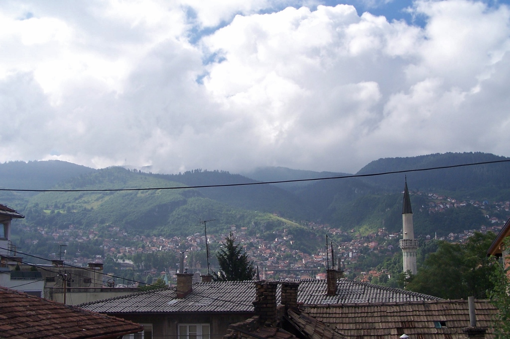 104_8847 (1024x682).jpg