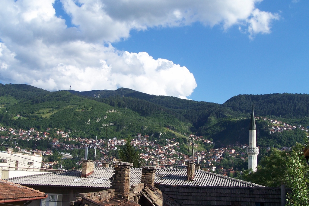 104_8987 (1024x682).jpg