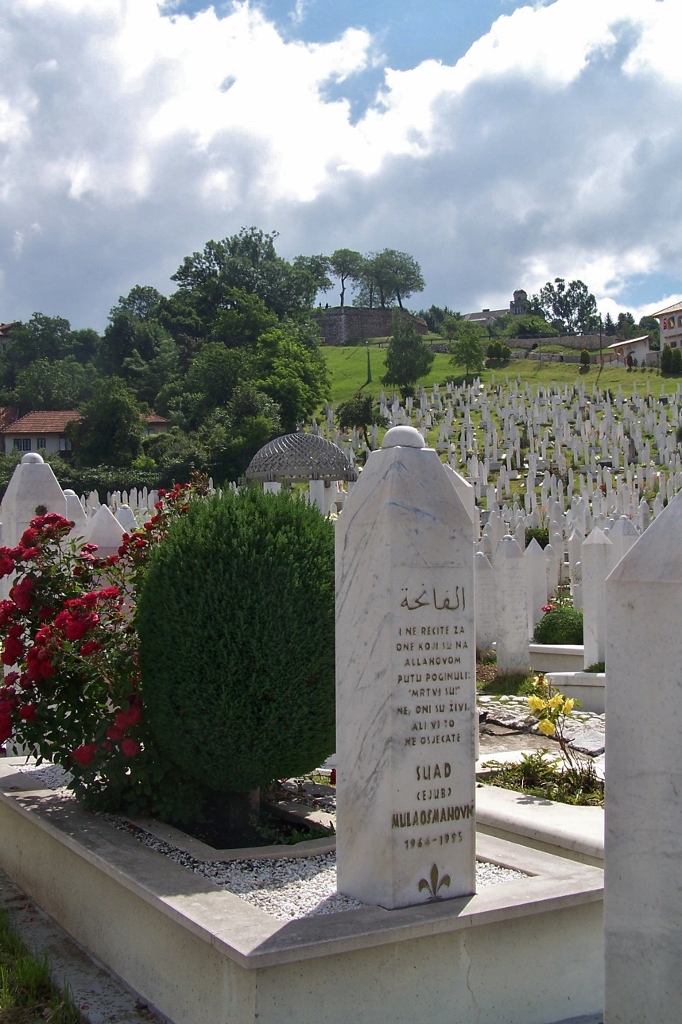 104_8856 (682x1024).jpg