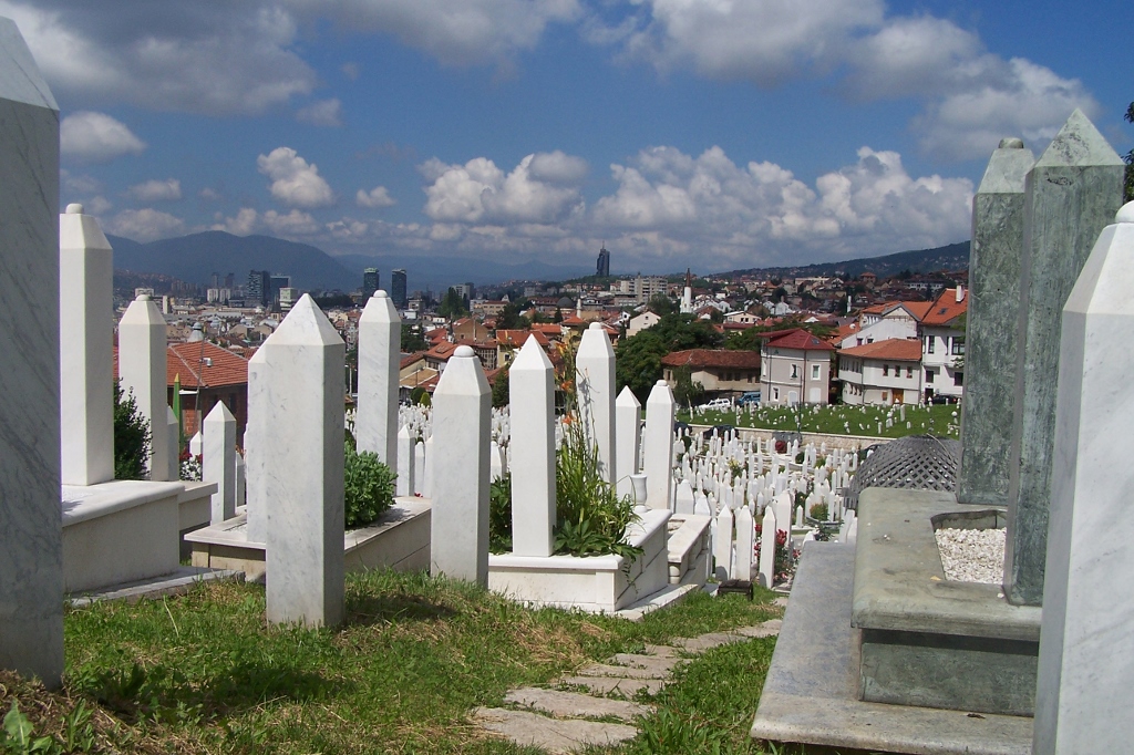 104_8863 (1024x682).jpg