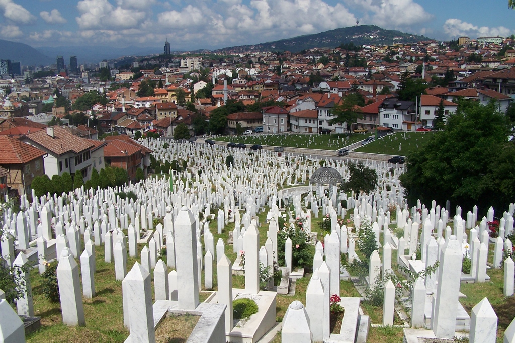 104_8864 (1024x682).jpg