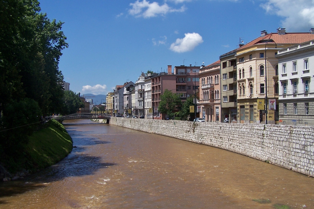 104_8897 (1024x682).jpg