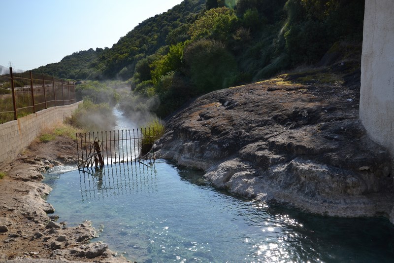 DSC_0655 (Kopiowanie).JPG