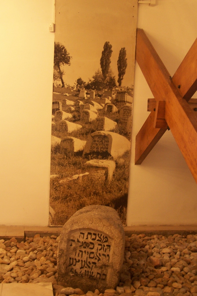 104_8948 (682x1024).jpg