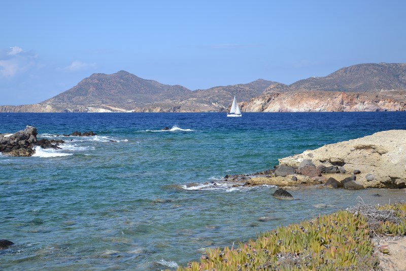 DSC_0184 (Kopiowanie).JPG