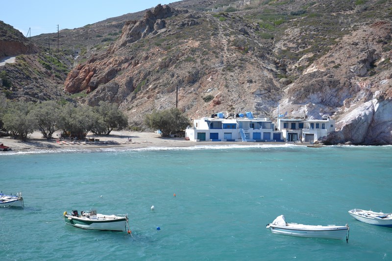 DSC_0601 (Kopiowanie).JPG