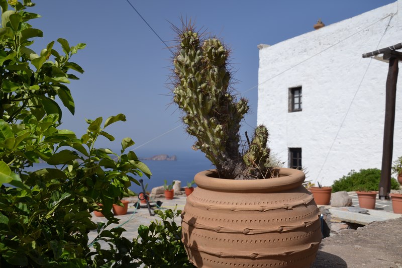 DSC_0613 (Kopiowanie).JPG