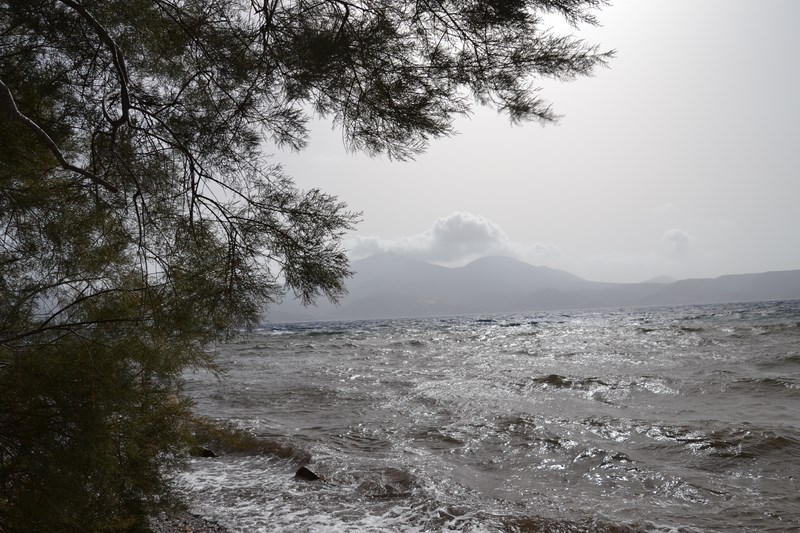 DSC_0883 (Kopiowanie).JPG