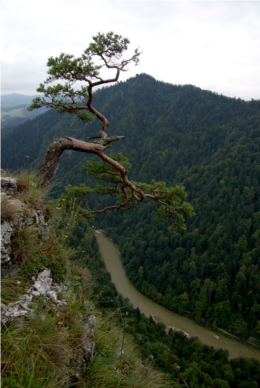 Dunajec 02.jpg