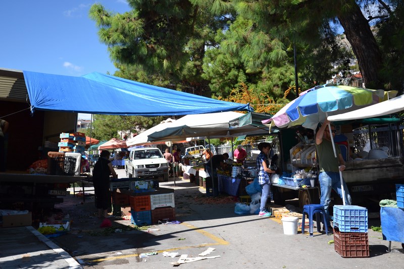 DSC_0073 (Kopiowanie).JPG