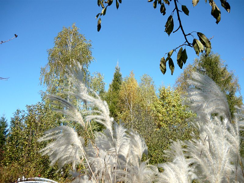 P1030275.jpg