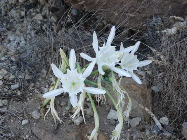 jest i roślinność.jpg