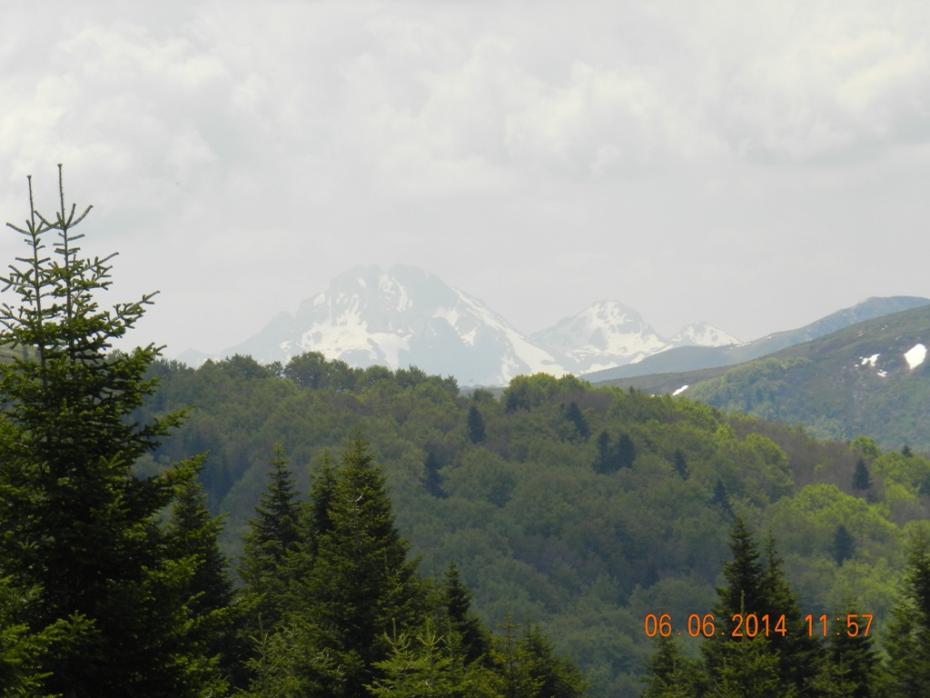 DSCN4584.JPG DSCN4584.JPG