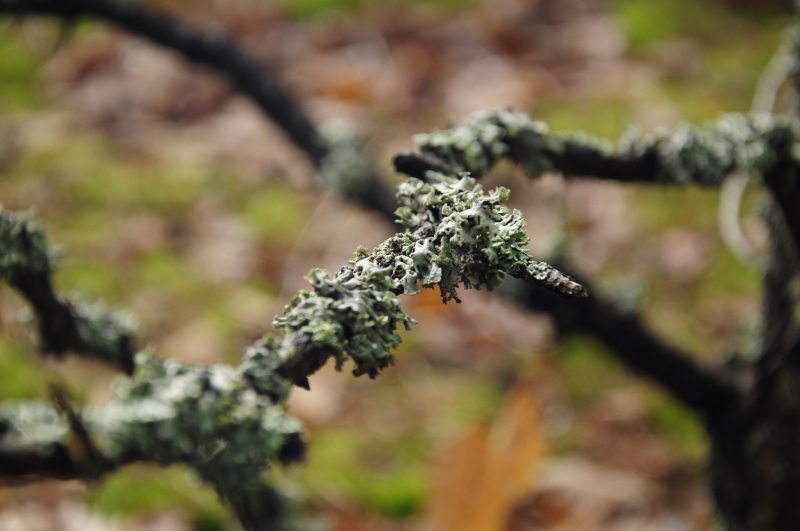_DSC0031.jpg