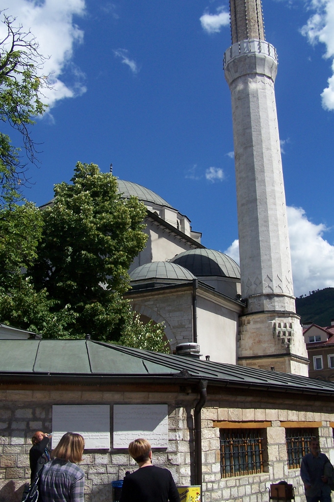 104_8954 (682x1024).jpg