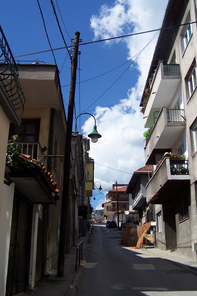 104_8981 (682x1024).jpg