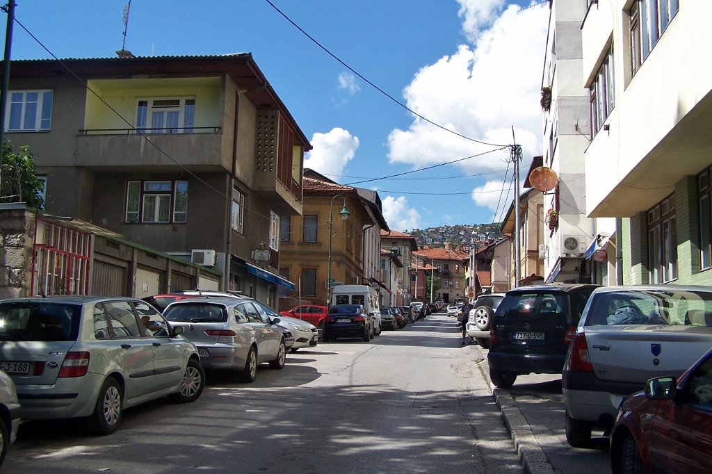 104_8984 (1024x682).jpg