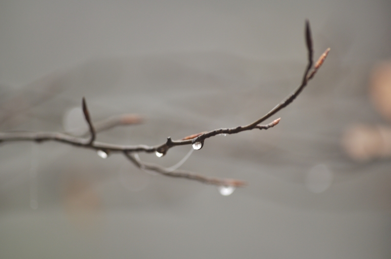 _DSC0102.jpg