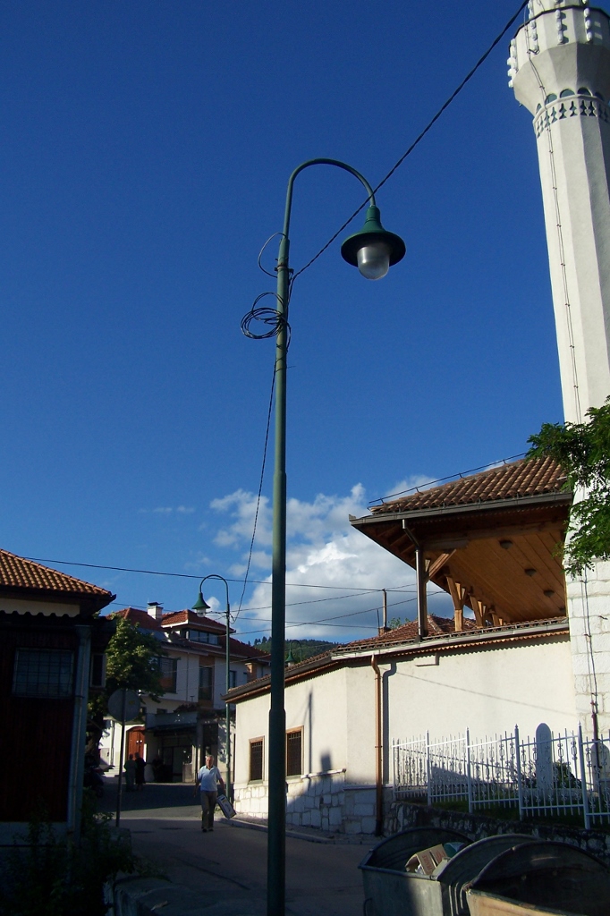 104_9002 (682x1024).jpg