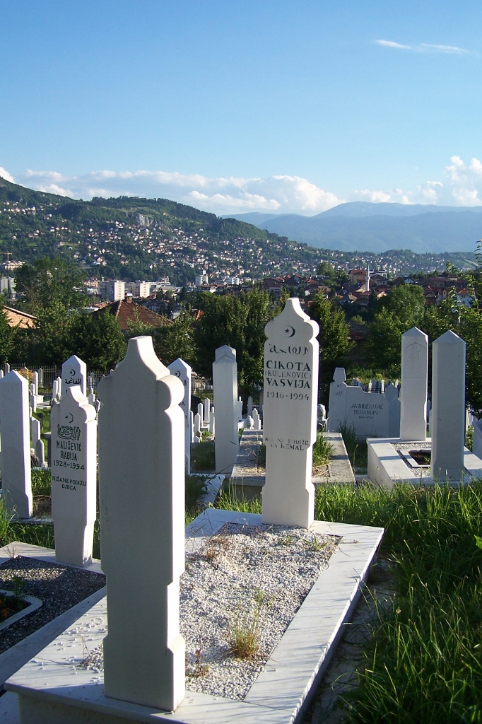 104_9010 (682x1024).jpg