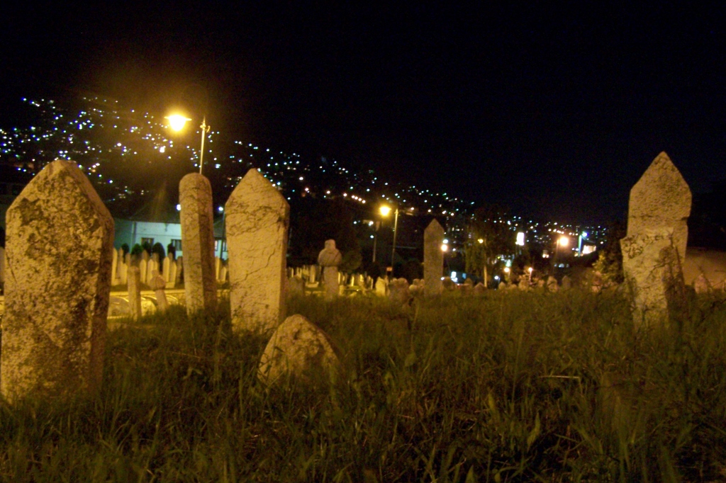 104_9031 (1024x682).jpg