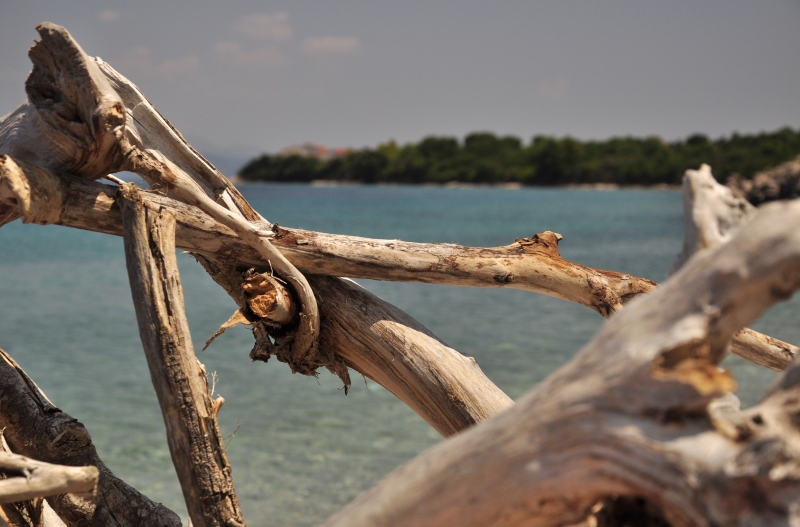 _DSC0702.jpg