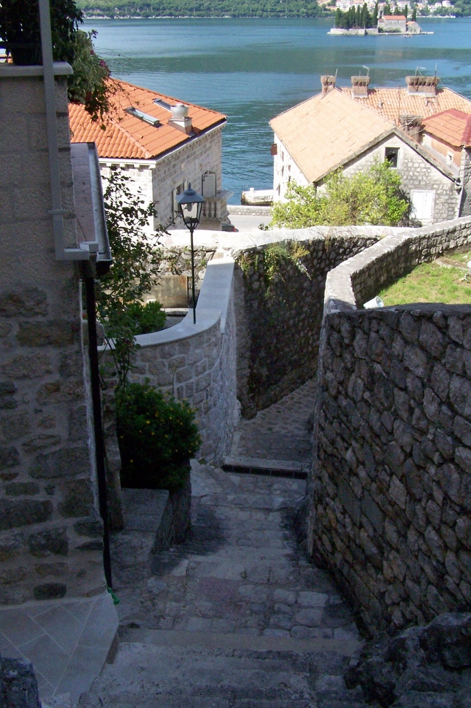 104_9137 (682x1024).jpg