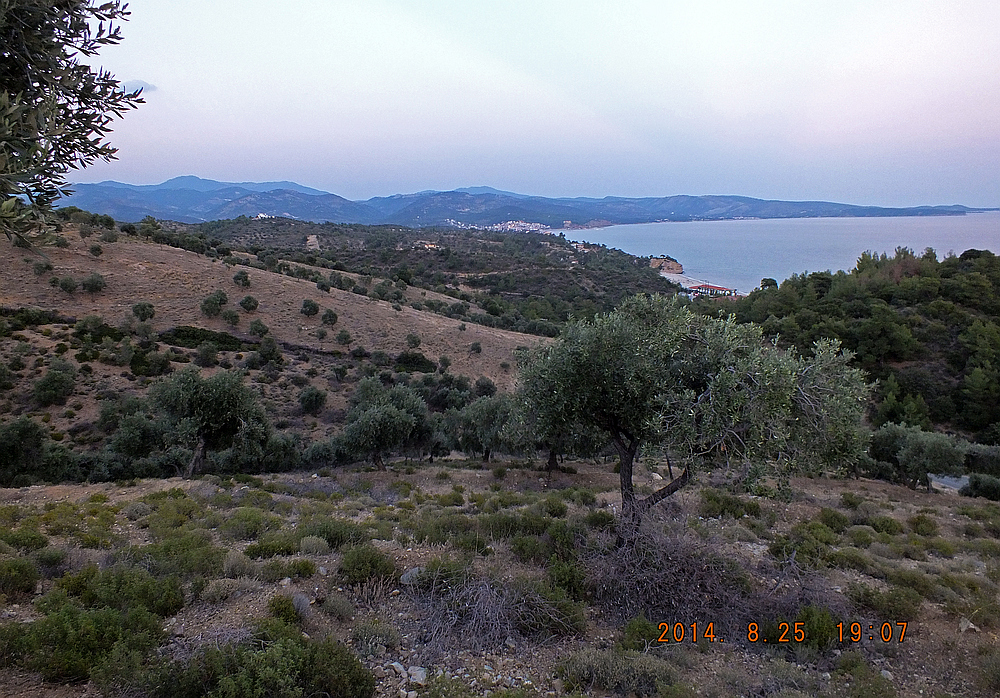 1886 - Limenaria.jpg