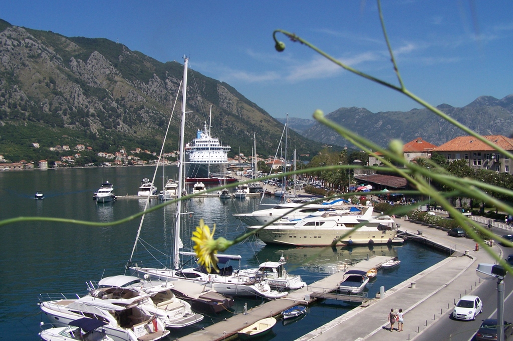 104_9147 (1024x682).jpg