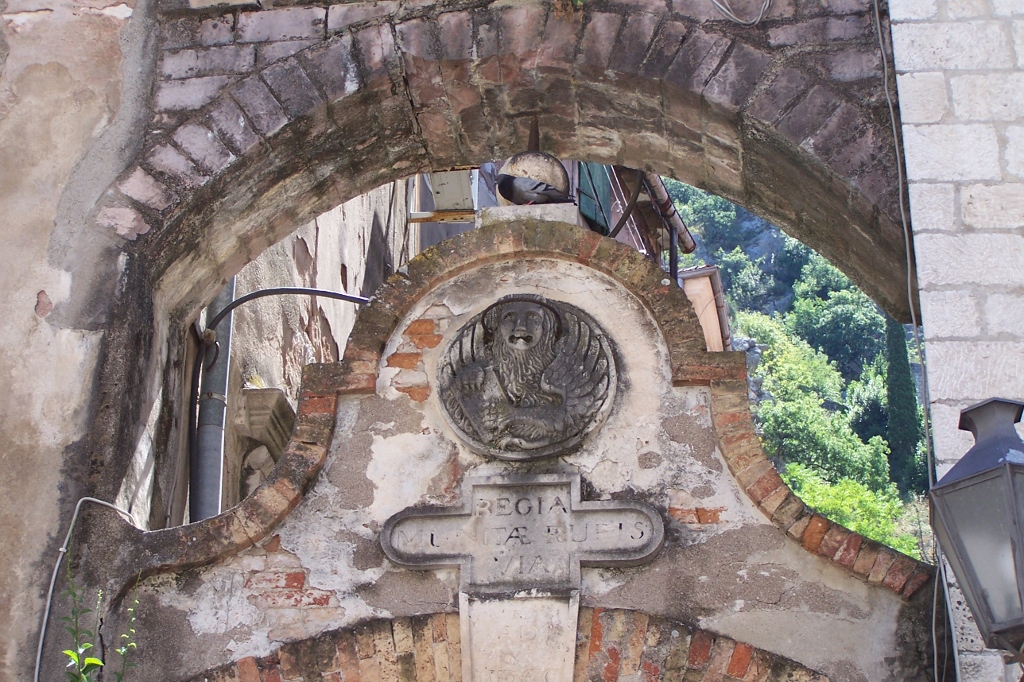 104_9196 (1024x682).jpg